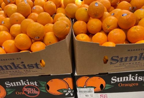 一号文件春风起，初级农产品引领乡村新机遇