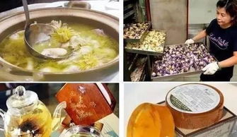 休闲农业产品探析 从初级农产品到体验经济