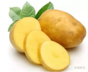 来自保康1000米高山的馈赠 品味纯净无公害土豆